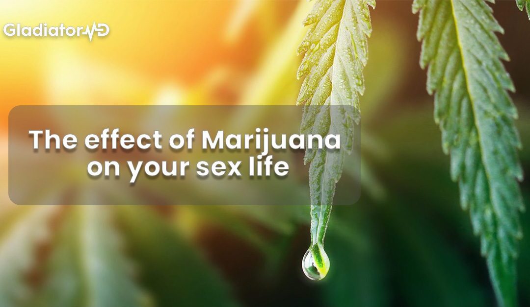 The Effect of Marijuana on your Sex Life 