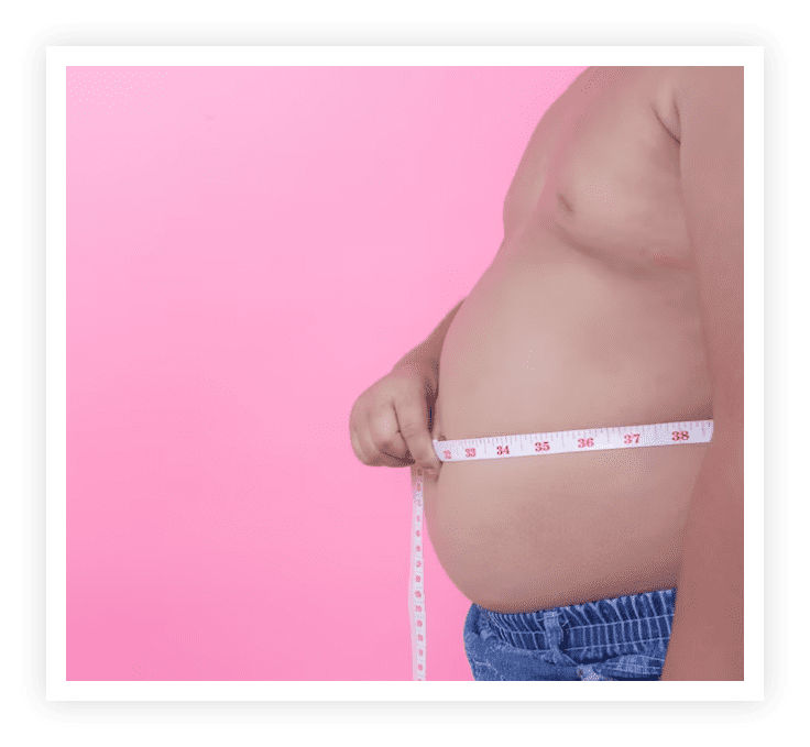 Fat Cutter Fat Cutter